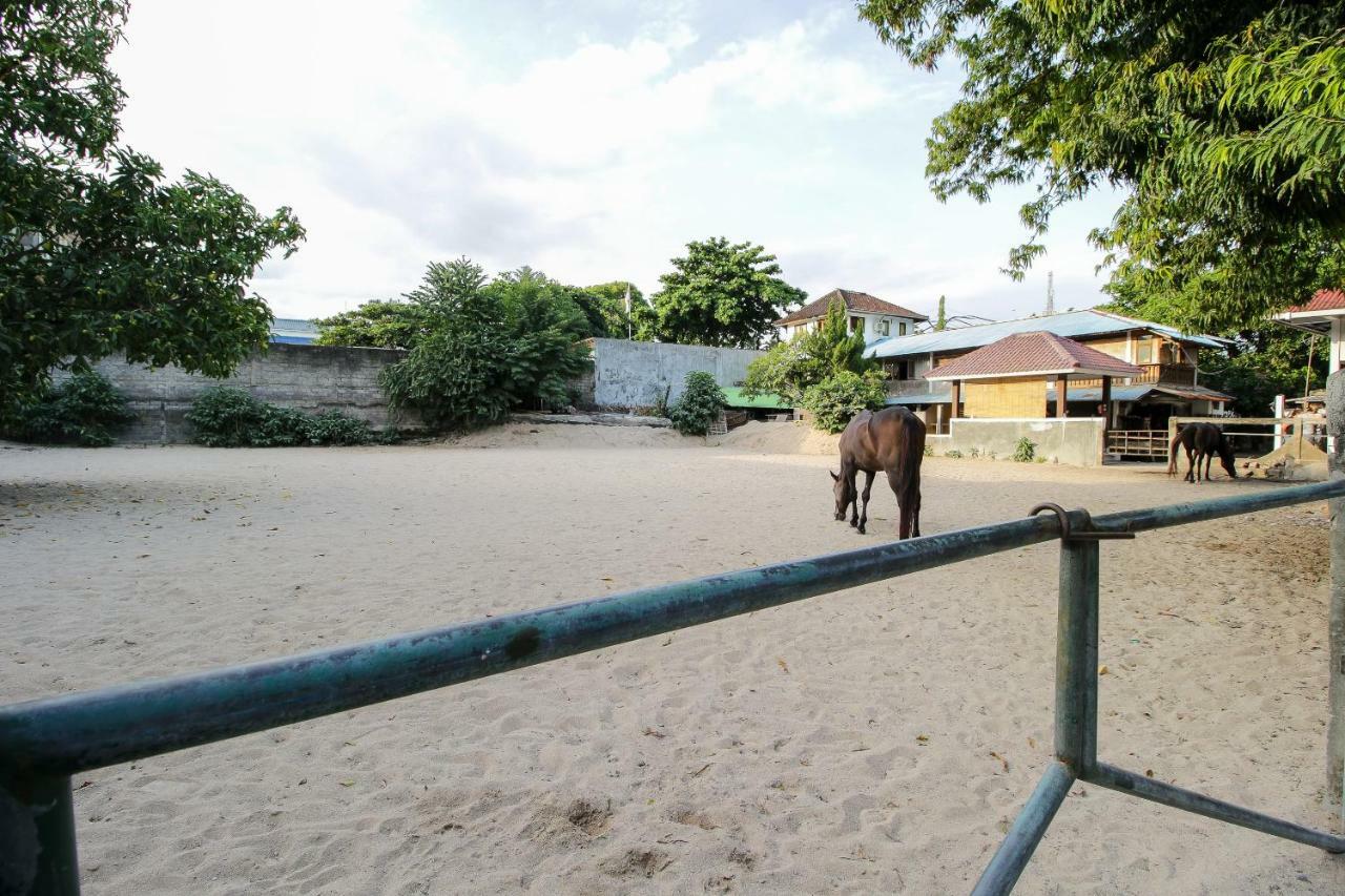 Mesari Beach Inn & Stables Семиняк Екстериор снимка